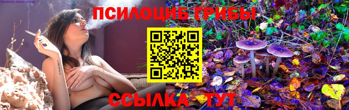 Псилоцибиновые грибы Psilocybine cubensis Ртищево
